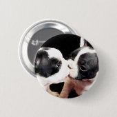 Welpen der französischen Bulldogge Button (Vorne & Hinten)