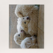 Welpen des Tierschutzes Puzzle (Vertikal)