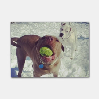 Welpen, die Ball-Notizblock spielen Post-it Klebezettel