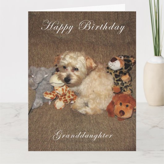 Welpen-Enkelin-Geburtstags-Karte Karte (Vorderseite)
