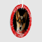 Welpen Erstes Weihnachtsfest-Foto Ornament (Vorderseite)