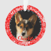 Welpen Erstes Weihnachtsfest-Foto Ornament (Vorderseite)
