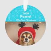 Welpen Erstes Weihnachtsfest-Foto Ornament (Vorderseite)