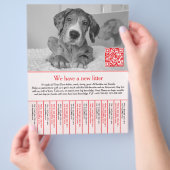 Welpen Flugblätter rot Flyer (Hand)