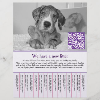 welpen Flyer