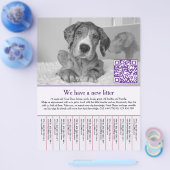 welpen Flyer (Einzeln)