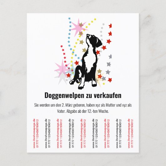 Welpen-Flyer Flyer (Vorne)