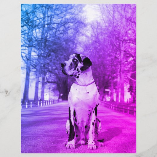 Welpen-Flyer Großes Ding oder Hunde Flyer (Hinten)