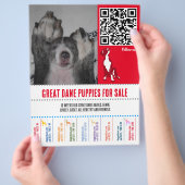 Welpen-Flyer Großes Ding oder Hunde Flyer (Hand)