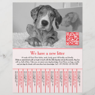 welpen Flyer rot