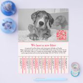 welpen Flyer rot (Einzeln)