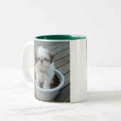 Welpen-Foto-Tasse Shih Tzu große 15 Unze Zweifarbige Tasse (Vorderseite Links)