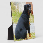 Welpen Fotoplatte (Seite)