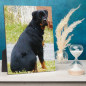 Welpen Fotoplatte (Seite)