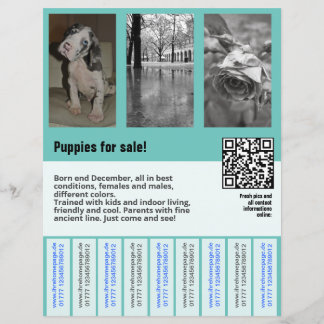 Welpen für den Verkauf Flyer Vorlage QR-Code