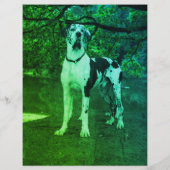 Welpen für den Verkauf Flyer Vorlage QR-Code (Rückseite)