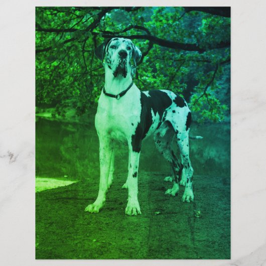 Welpen für den Verkauf Flyer Vorlage QR-Code (Rückseite)