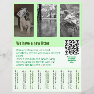 Welpen für den Verkauf Flyer Vorlage QR-Code