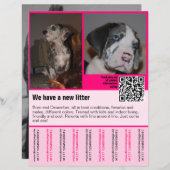 Welpen für den Verkauf Flyer Vorlage QR-Code (Vorne/Hinten)