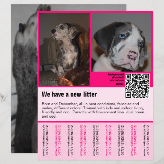 Welpen für den Verkauf Flyer Vorlage QR-Code