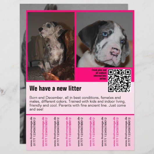 Welpen für den Verkauf Flyer Vorlage QR-Code (Vorne/Hinten)