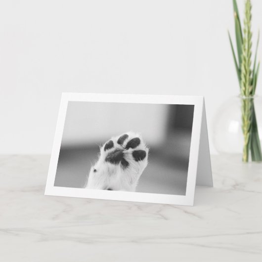 Welpen High Five | Leere Karte (Vorderseite)