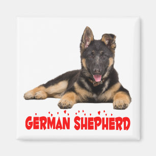 Welpen-Hund Rote Liebe Magnet