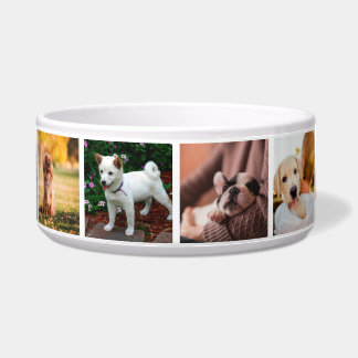 Welpen Hunde Instagram Fotos Napf