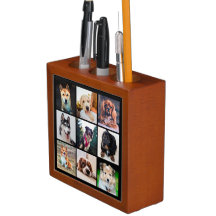 Welpen Hunde Instagram Fotos