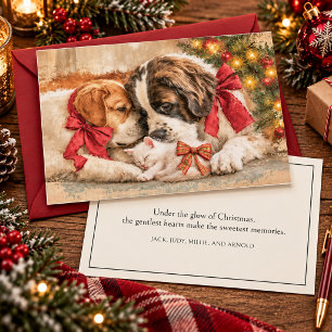 Welpen Hunde Kätzchen Liebe Weihnachten 
