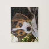 Welpen-HundeBeagle Puzzle (Vertikal)