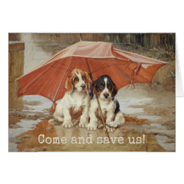 Welpen im Basset unter dem Regenschirm CC0190 Troo