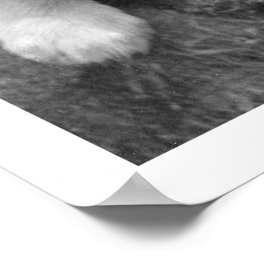 Welpen in Alaska 1921 Poster (Ecke)