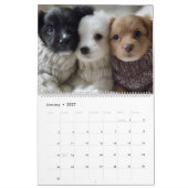 Welpen in Pullovern Kalender (Jan 2027)