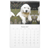 Welpen Kalender (Jan 2027)