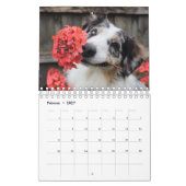 Welpen Kalender (Feb 2027)