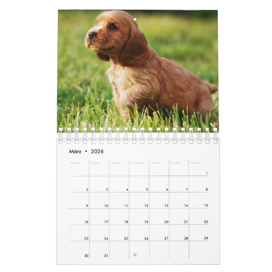 Welpen Kalender (Mär 2026)