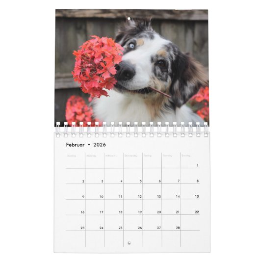 Welpen Kalender (Feb 2026)