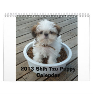 Welpen-Kalender 2013 Shih Tzu Kalender