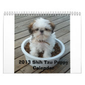 Welpen-Kalender 2013 Shih Tzu Kalender (Titelbild)