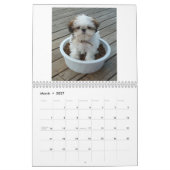 Welpen-Kalender 2013 Shih Tzu Kalender (Mär 2027)