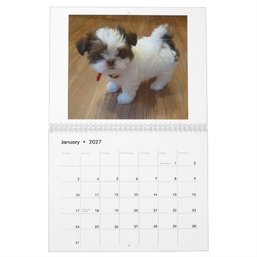 Welpen-Kalender 2013 Shih Tzu Kalender (Jan 2027)