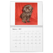 Welpen-Kalender 2013 Shih Tzu Kalender (Feb 2027)