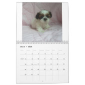 Welpen-Kalender 2015 Shih Tzu Kalender (Mär 2026)