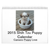 Welpen-Kalender 2015 Shih Tzu Kalender (Titelbild)
