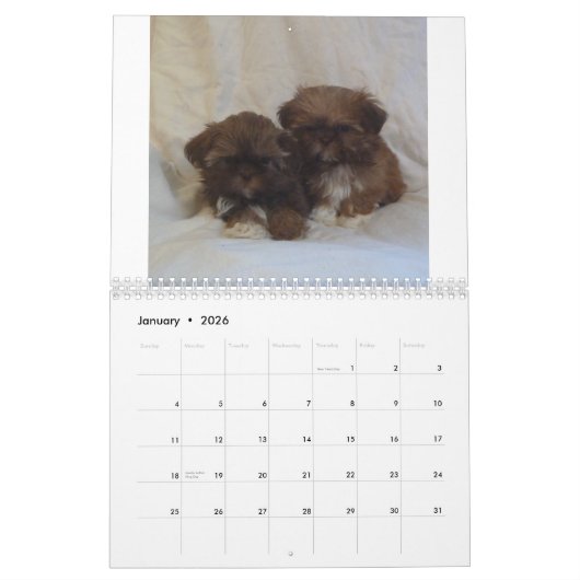 Welpen-Kalender 2015 Shih Tzu Kalender (Jan 2026)