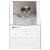 Welpen-Kalender 2015 Shih Tzu Kalender (Mär 2027)