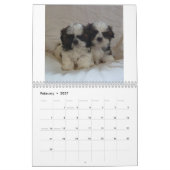 Welpen-Kalender 2015 Shih Tzu Kalender (Feb 2027)