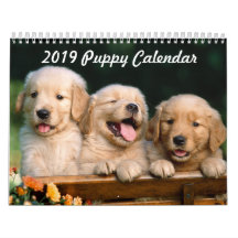 Welpen-Kalender 2019