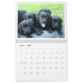 Welpen-Kalender 2019 Kalender (Mär 2027)